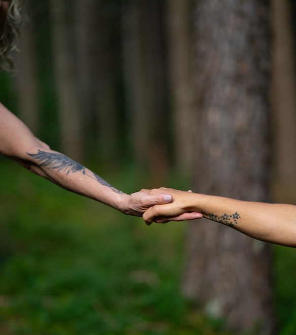 Nahaufnahme: Die Hand von Heike Wangler berührt sanft die Hand einer Klientin in einem Fichtenwald und symbolisiert Verbundenheit